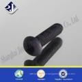 Hexagonal socket pan head screw 4.8